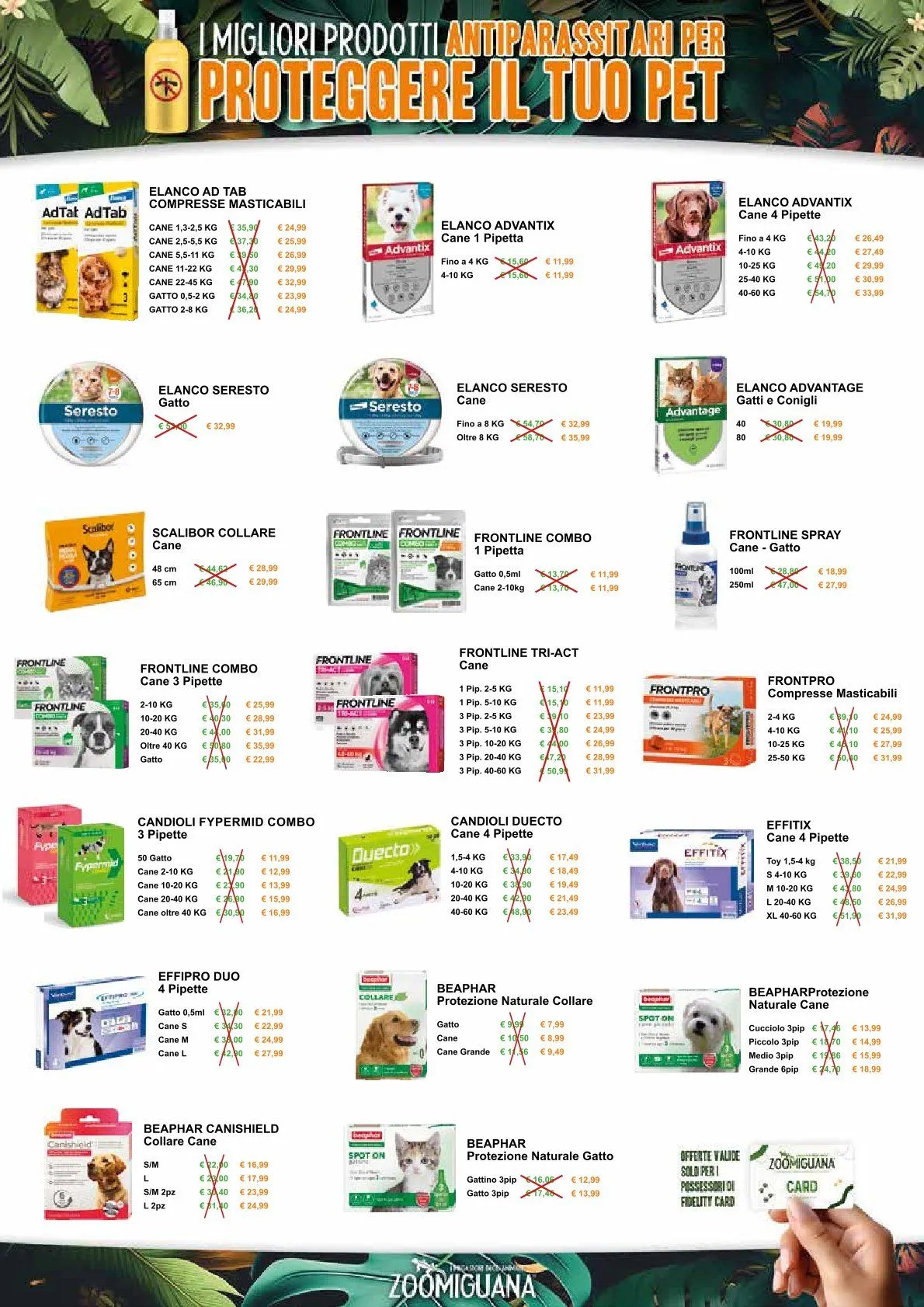  Zoomiguana Volantino da 4 dicembre a 6 gennaio di 2026 - Pagina del volantino 3