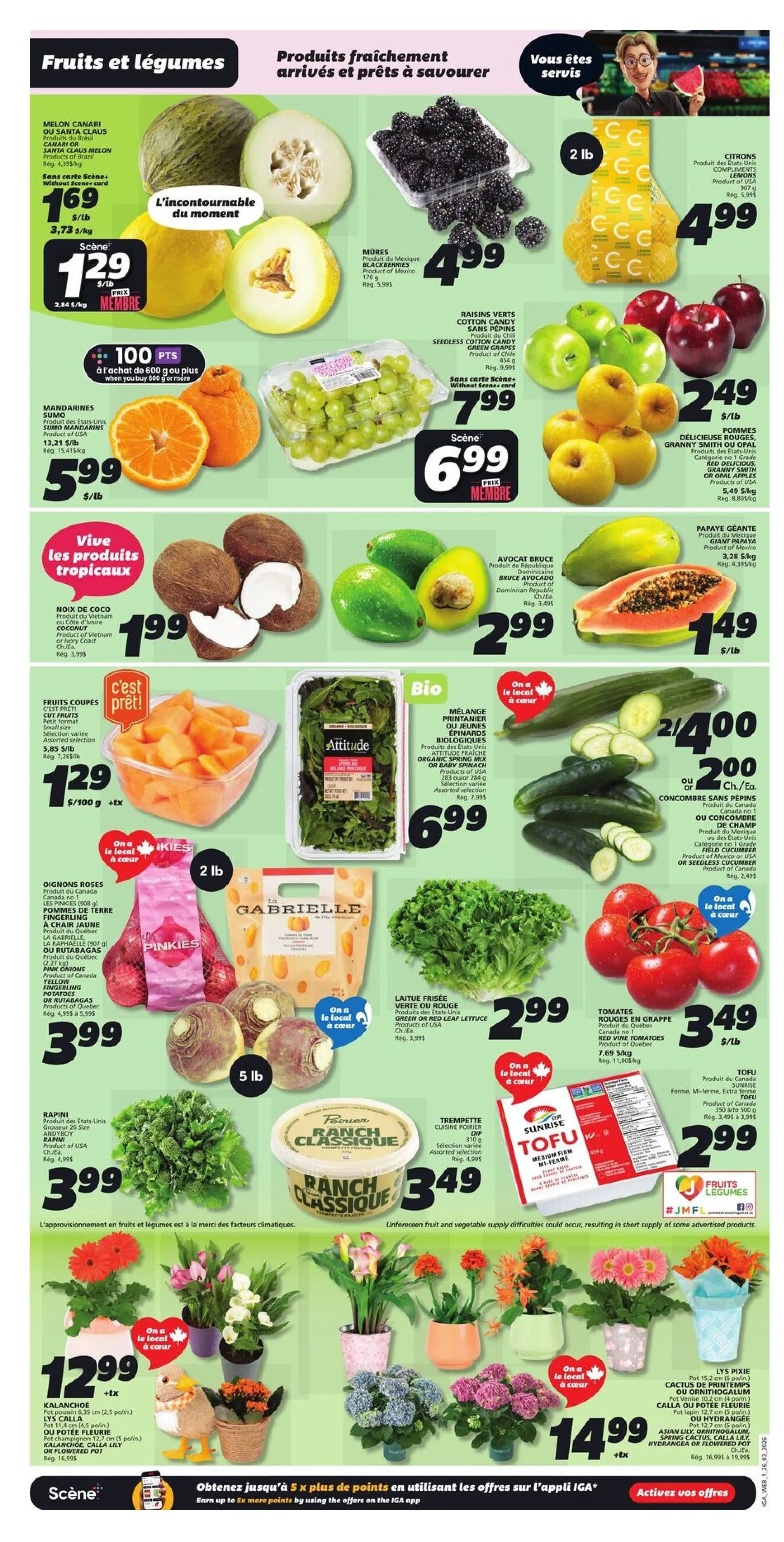 IGA Sales from March 26 to April 5 2026 - flyer page 3
