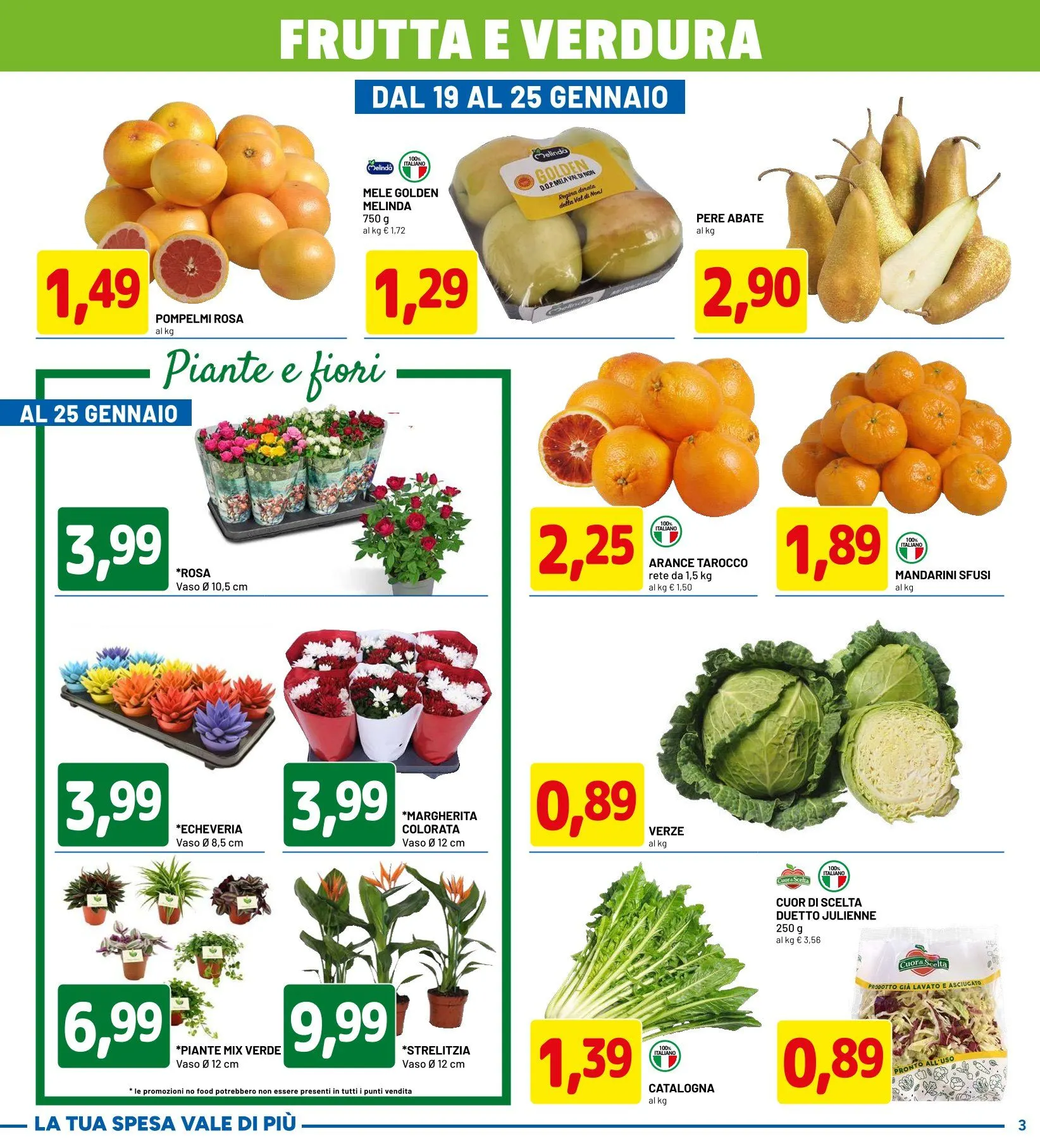 Volantini D Più da 12 gennaio a 25 gennaio di 2026 - Pagina del volantino 3