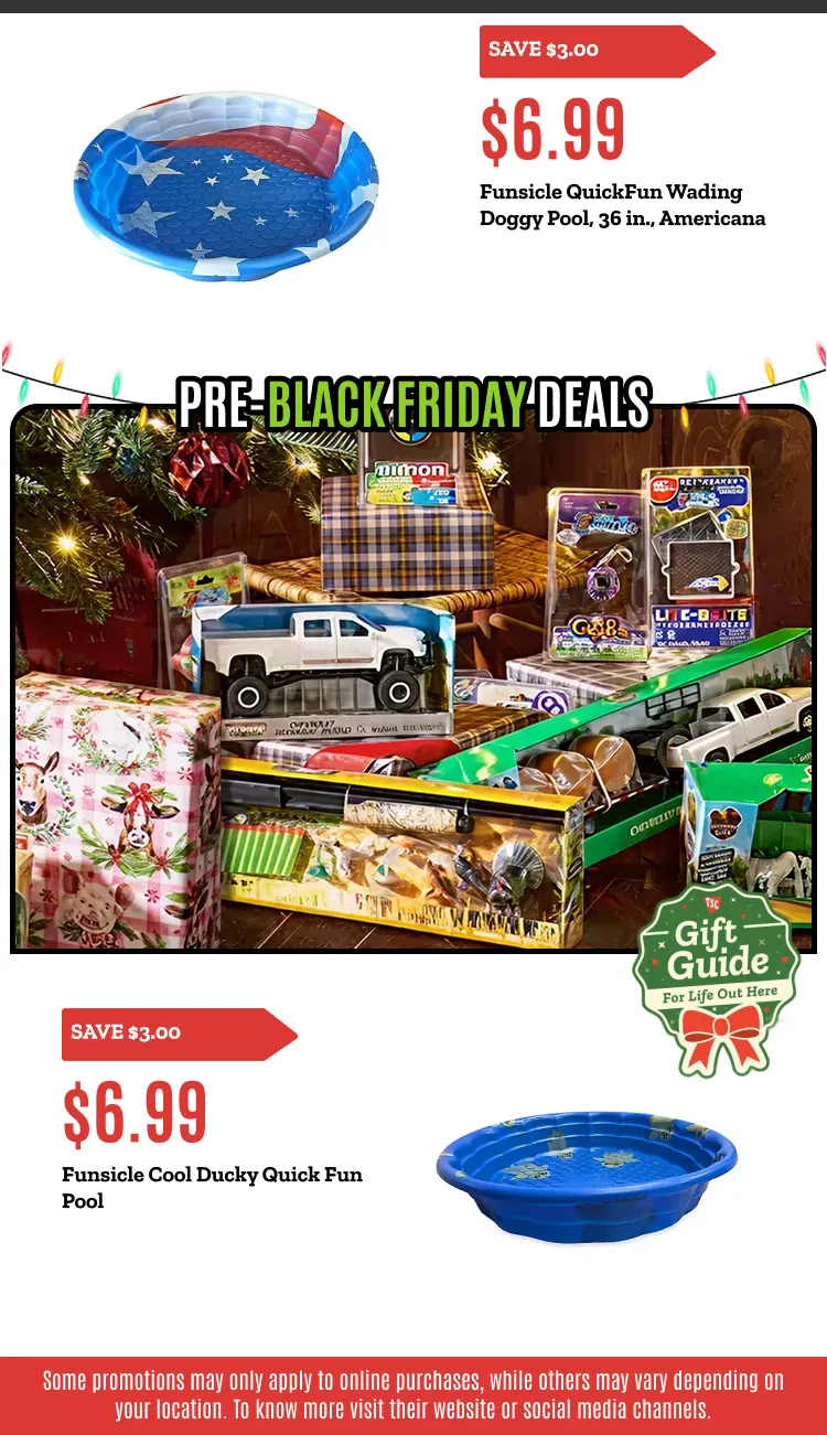 Weekly ad Black friday deals from November 5 to November 21 2025 - Page 2