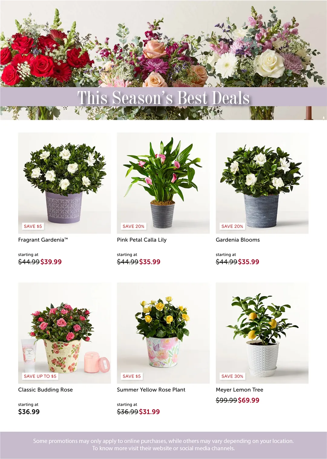 Weekly ad 1-800 Flowers Sales from May 29 to June 12 2026 - Page 2