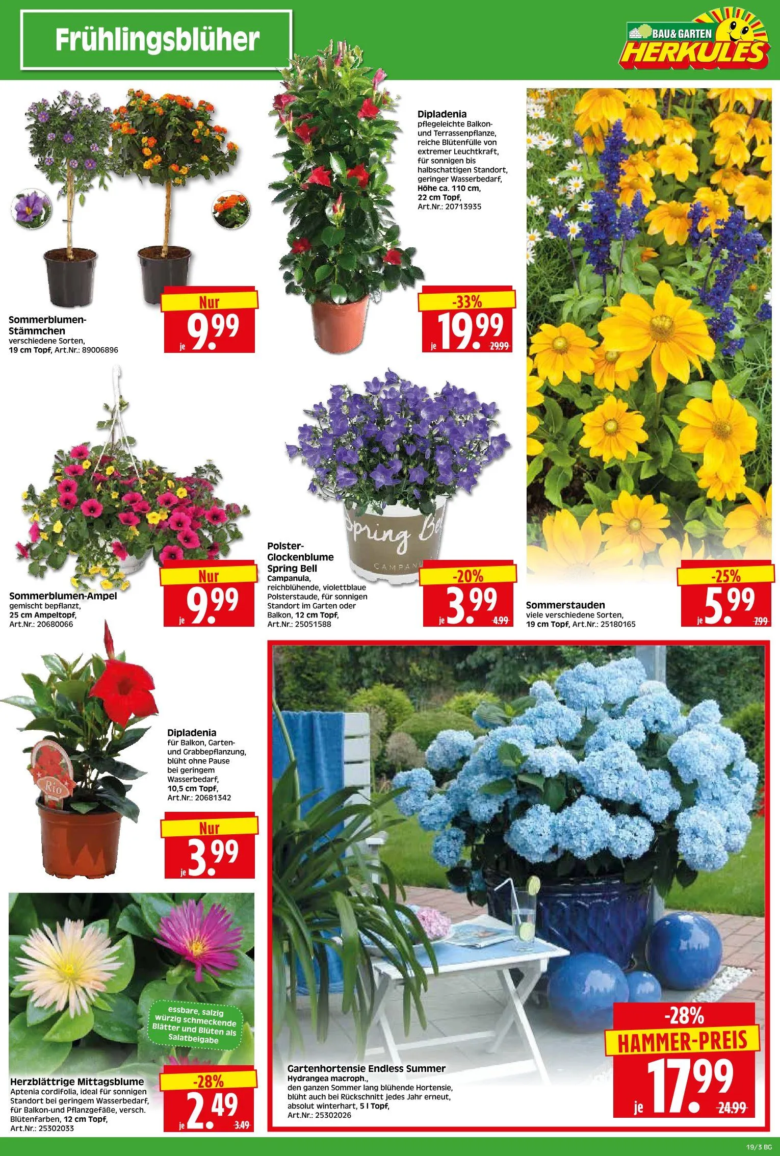 Herkules Baumarkt Prospekte von 5. Mai bis 10. Mai 2025 - Prospekt seite 3