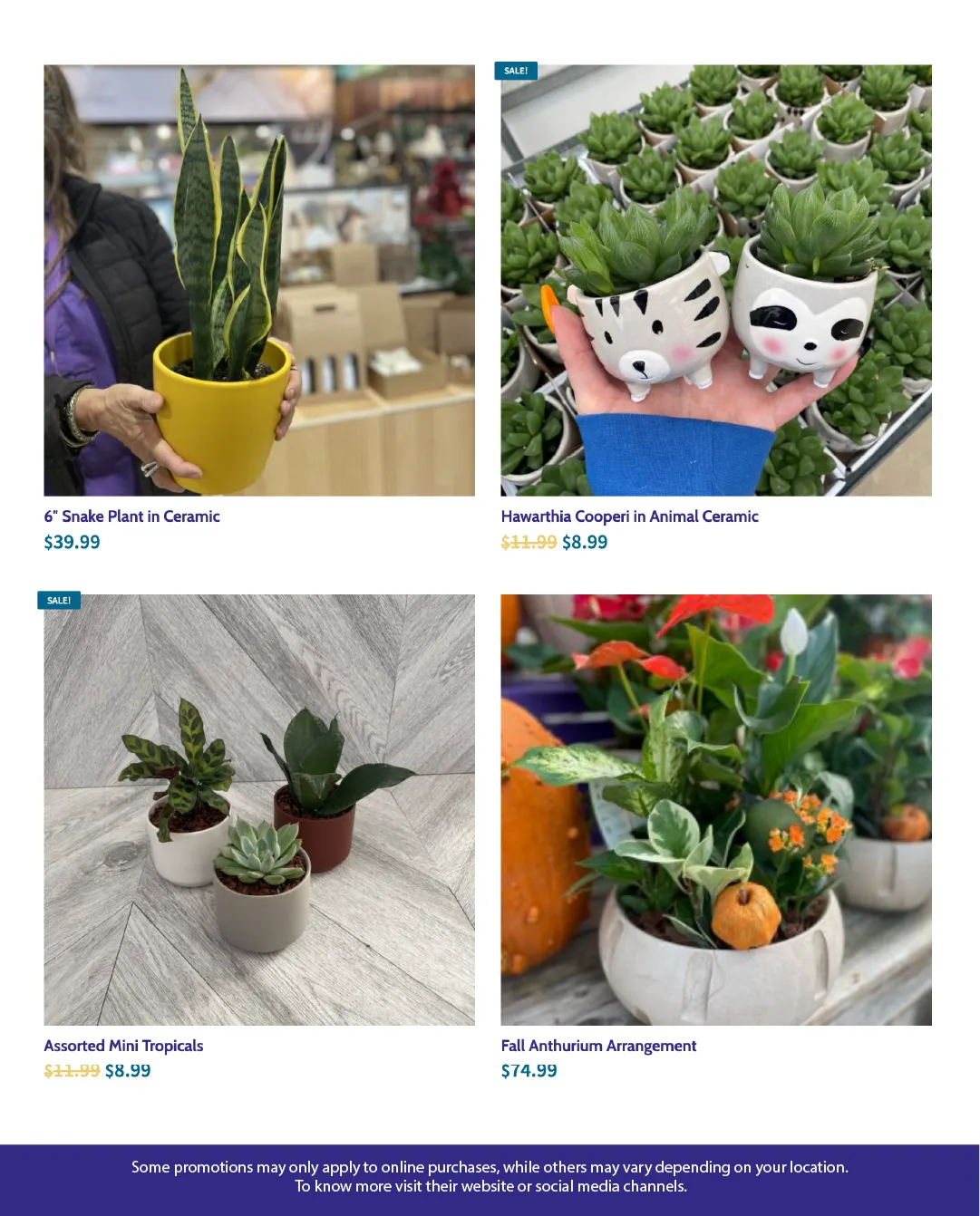 Flyer from October 28 to November 13 2025 - flyer page 2