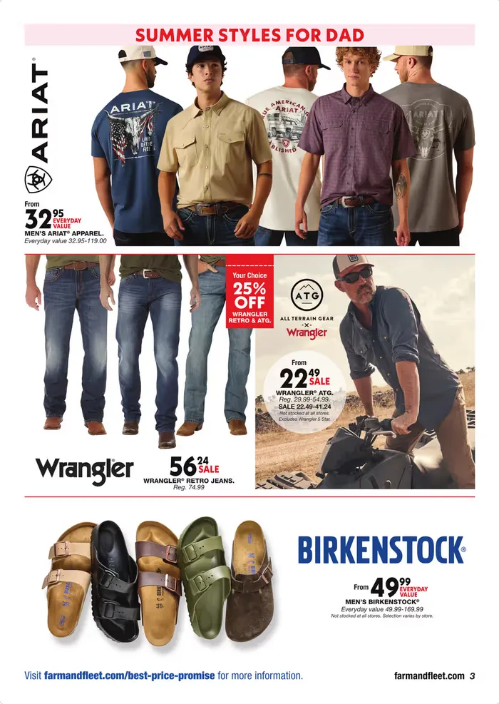 Weekly ad Blain's Farm & Fleet Sales from June 11 to June 21 2026 - Page 3