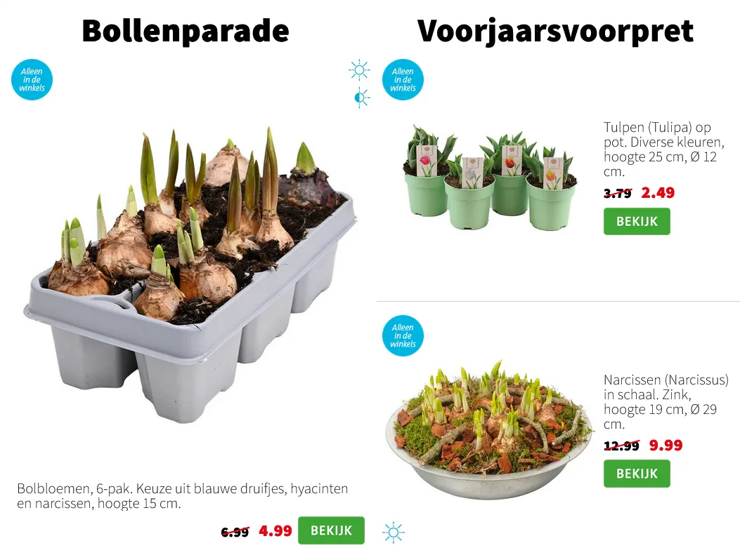Intratuin Folders van 19 januari tot 25 januari 2026 - Folder pagina 3