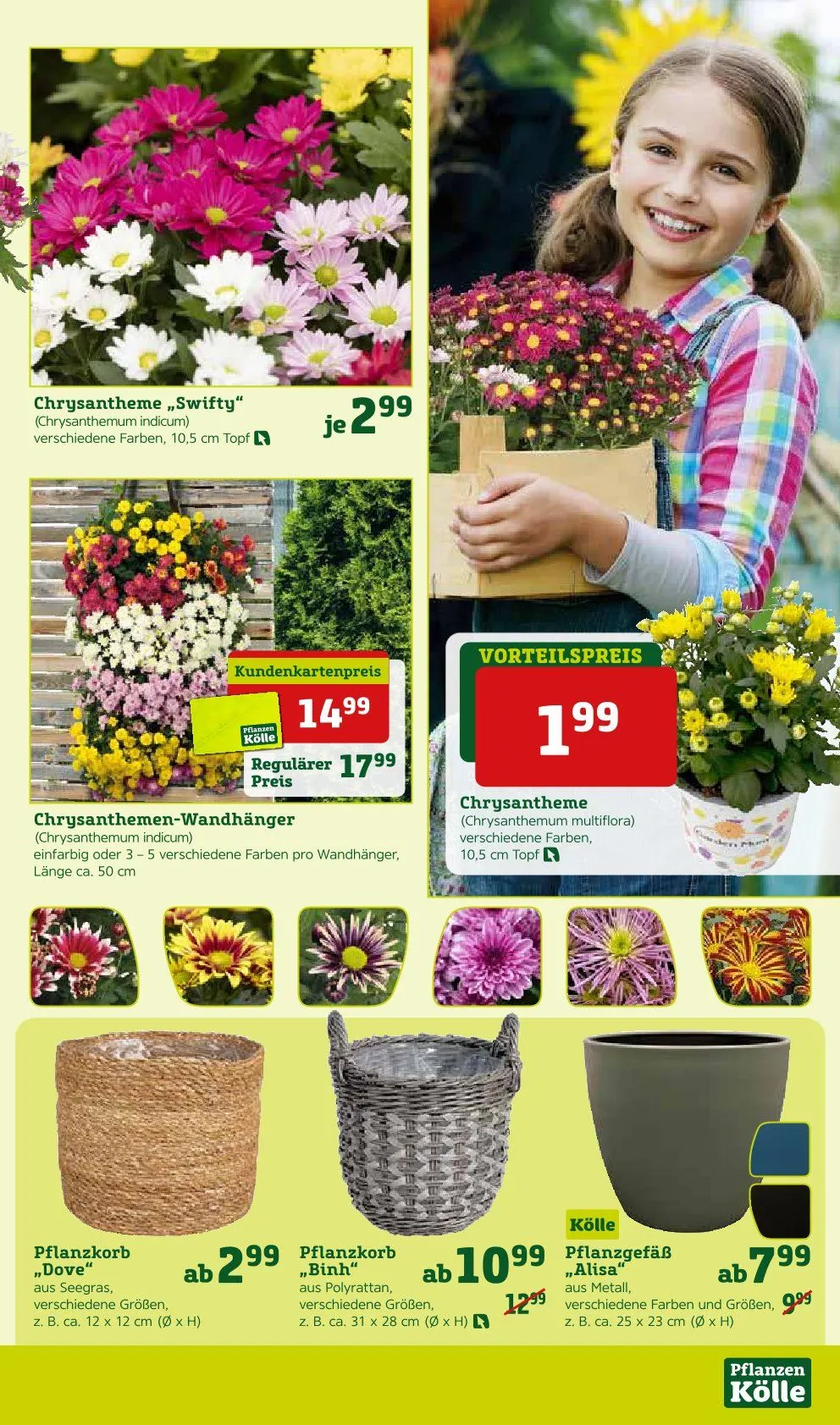 Prospekt Pflanzen-Kölle von 8. September bis 14. September 2025 - Prospekt seite 3