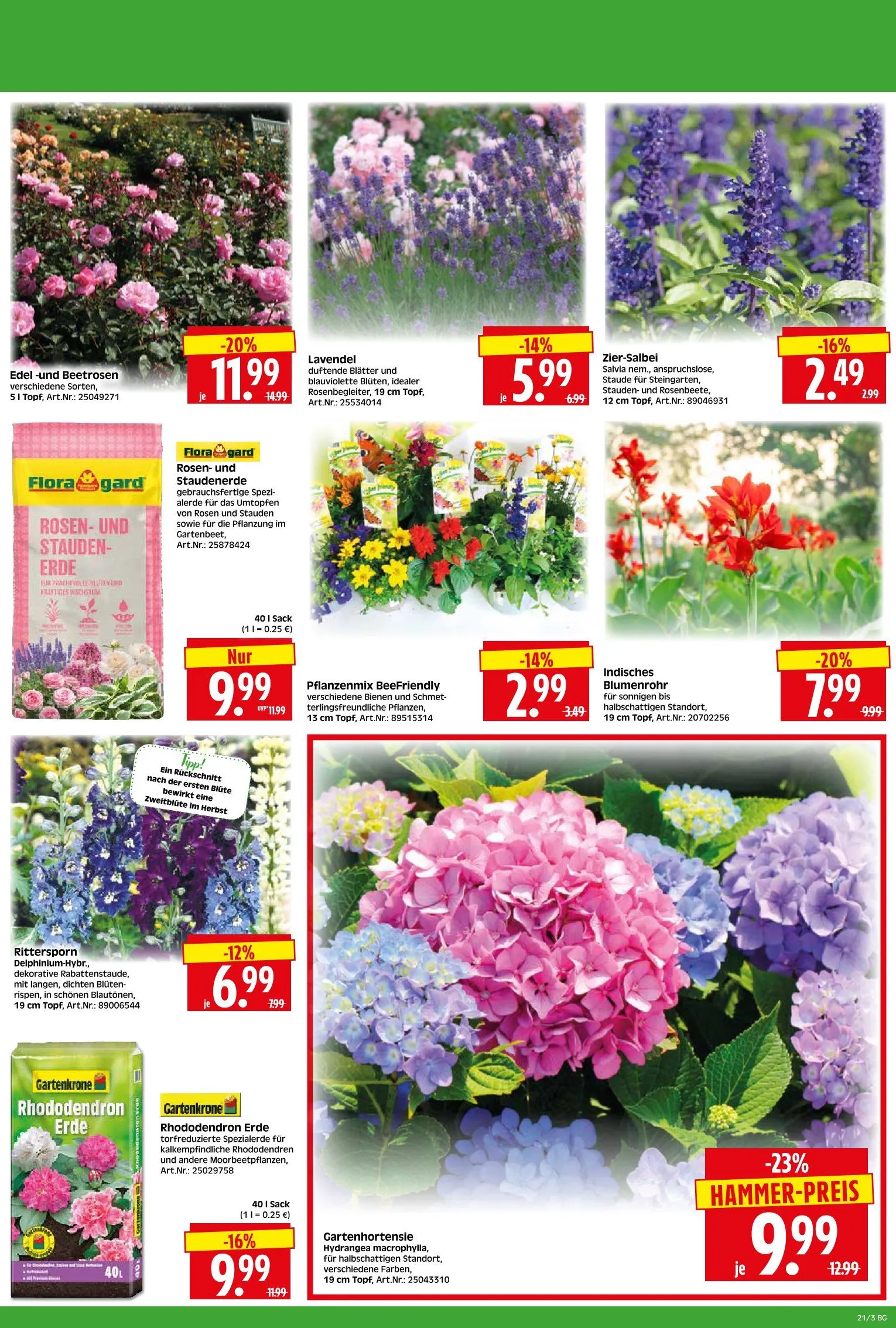 Herkules Baumarkt Prospekte von 18. Mai bis 25. Mai 2026 - Prospekt seite 3