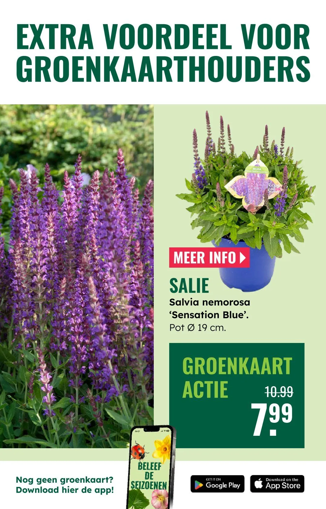 GroenRijk folders van 21 mei tot 27 mei 2026 - Folder pagina 3