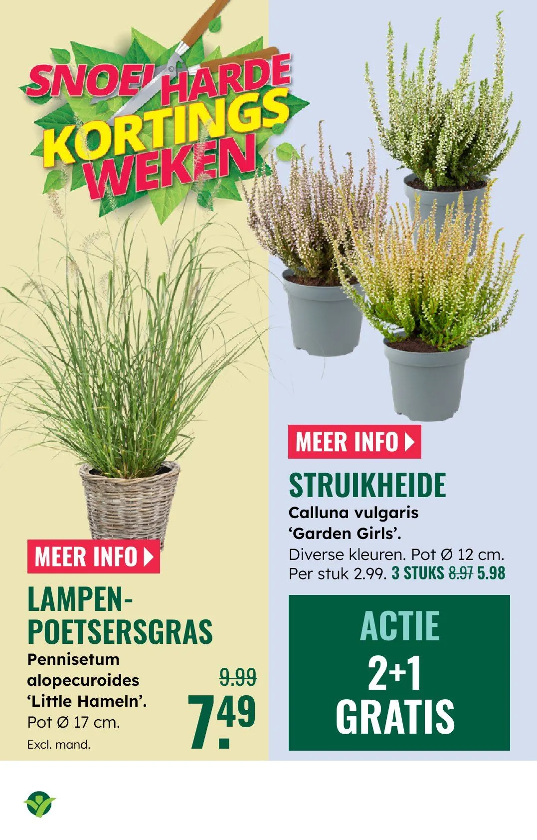 GroenRijk folders van 30 juli tot 5 augustus 2026 - Folder pagina 3