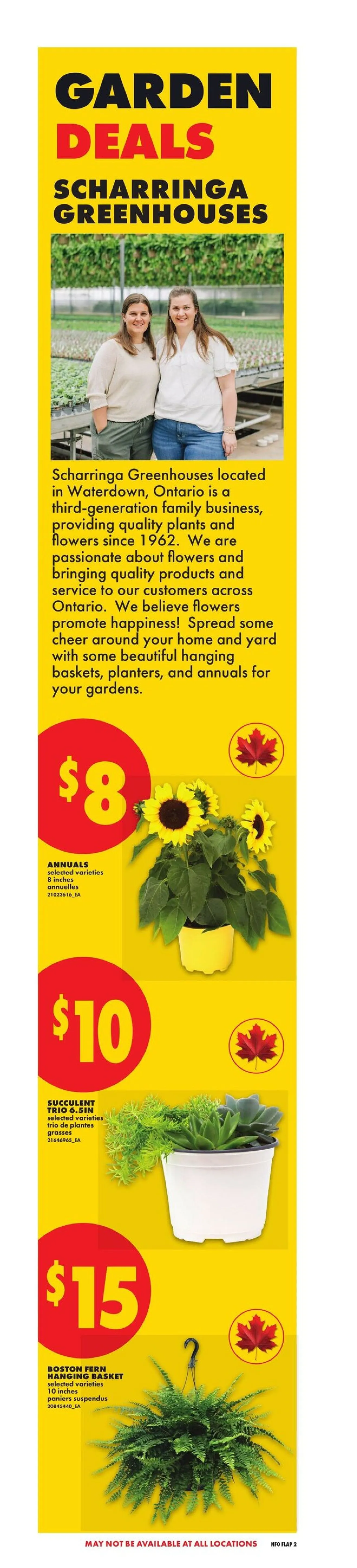 No Frills Sales from May 27 to June 2 2026 - flyer page 3