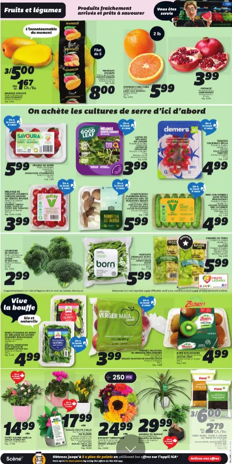 IGA Sales from April 16 to April 22 2026 - flyer page 3