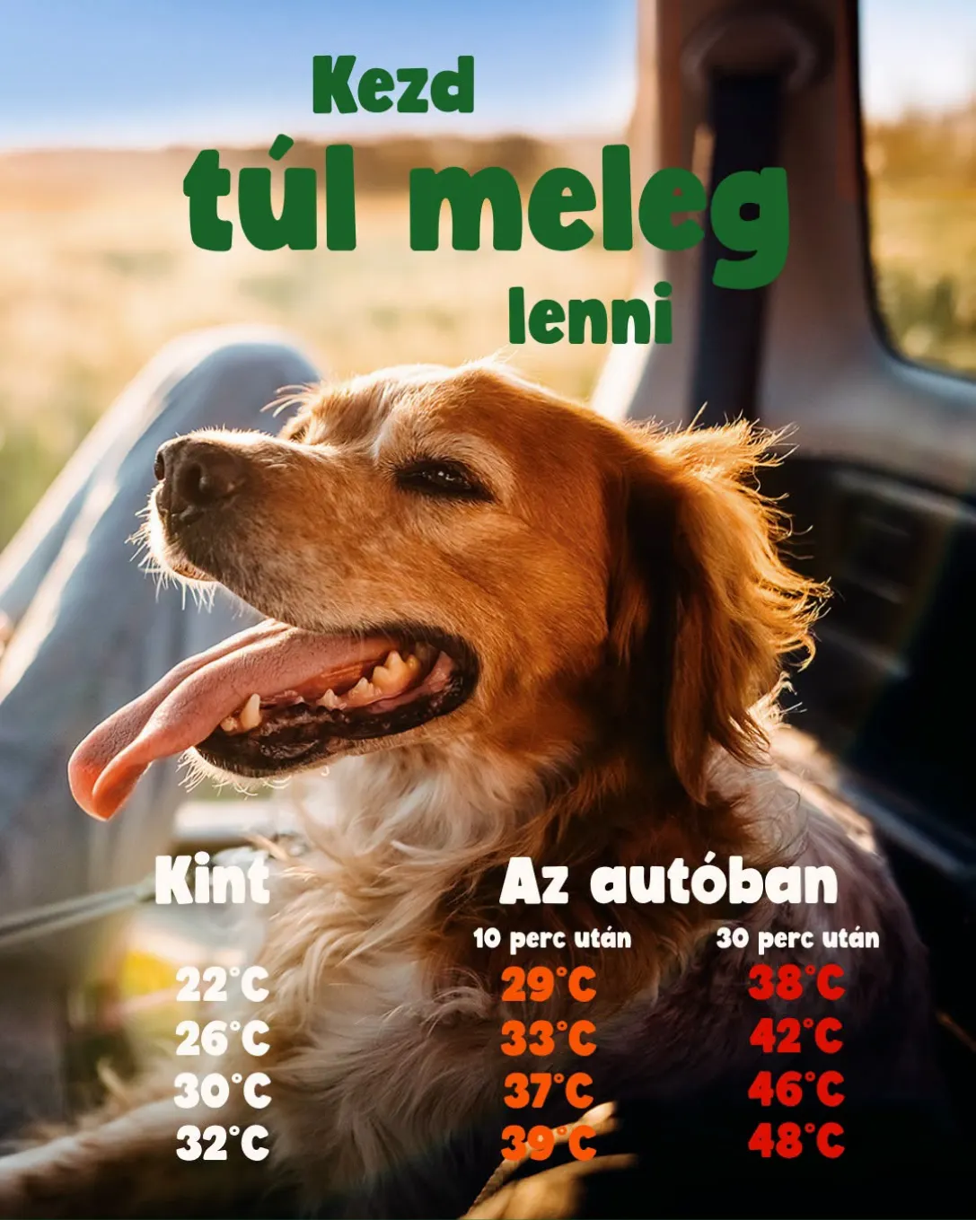 Katalógus Fressnapf legfrissebb ajánlatai július 2.-tól július 31.-ig 2026. - Oldal 3
