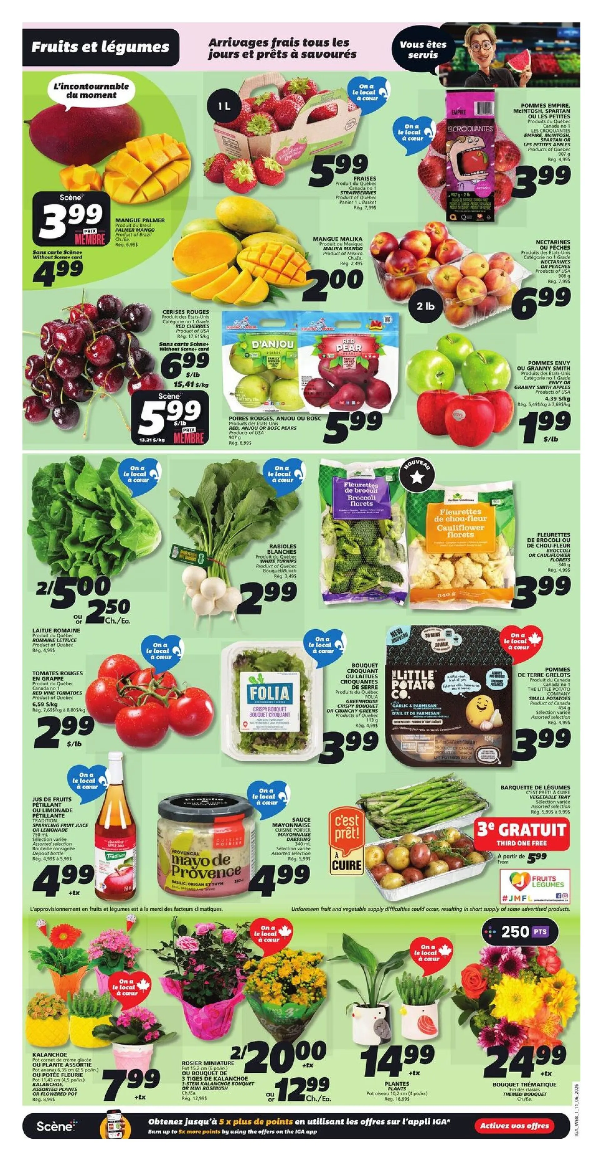 IGA Sales from June 11 to June 17 2026 - flyer page 3