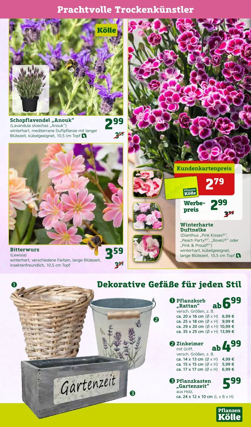 Angebote Pflanzen-Kölle von 31. März bis 6. April 2025 - Prospekt seite 3