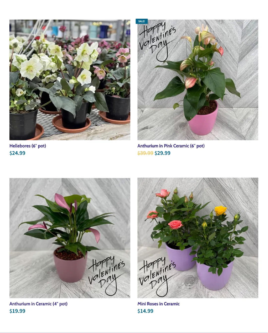 Terra Green Houses from February 10 to February 24 2026 - flyer page 2