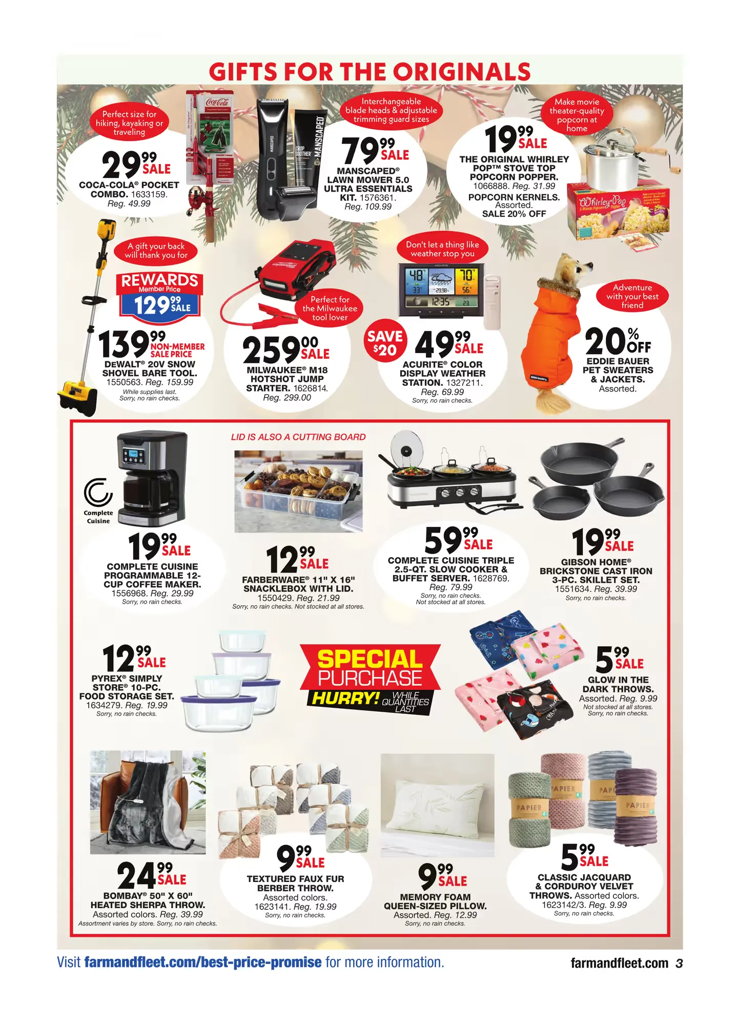 Weekly ad Blain's Farm & Fleet Sales from December 11 to December 25 2025 - Page 3