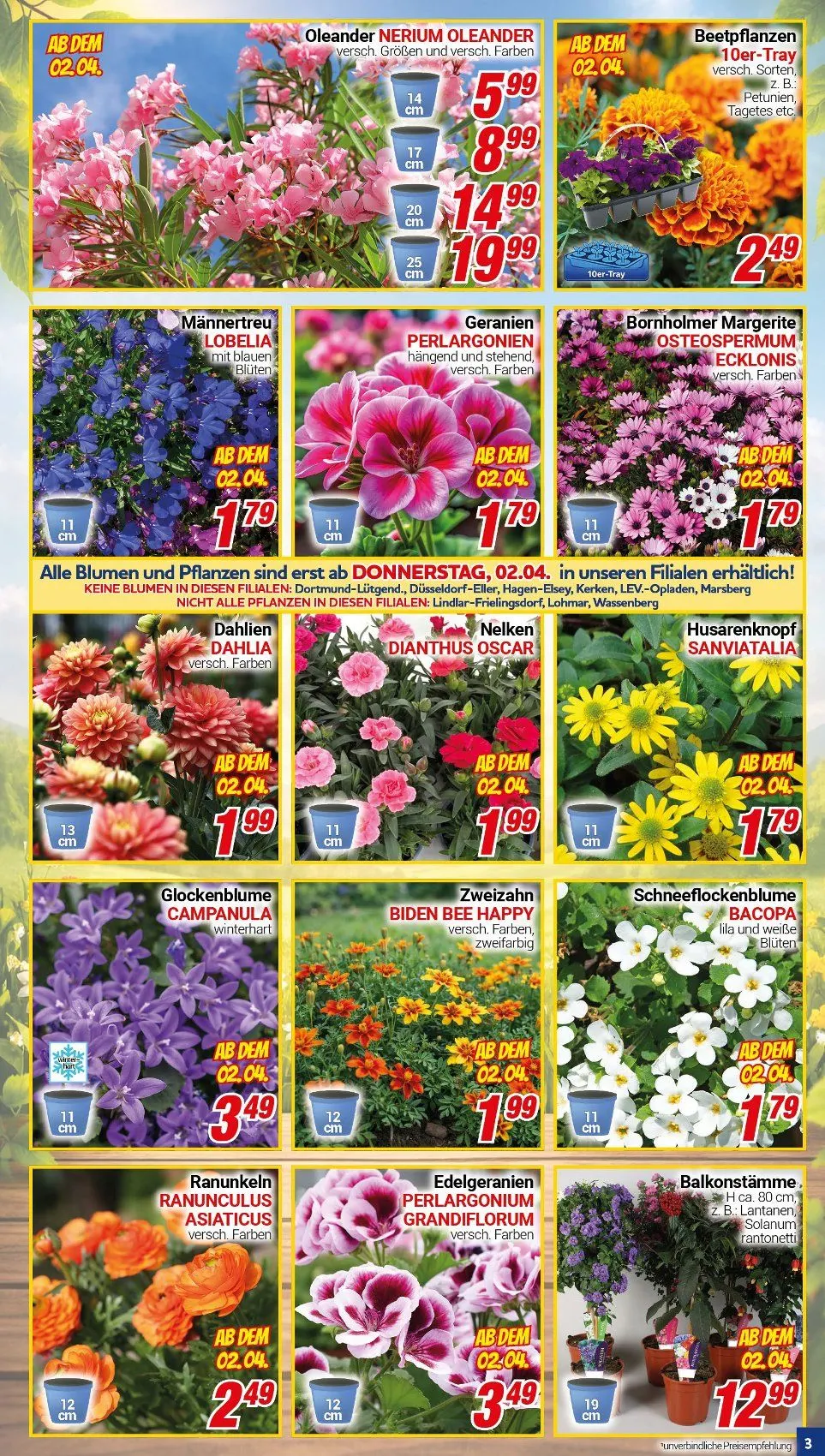 CENTERSHOP Angebote von 30. März bis 4. April 2026 - Prospekt seite 3