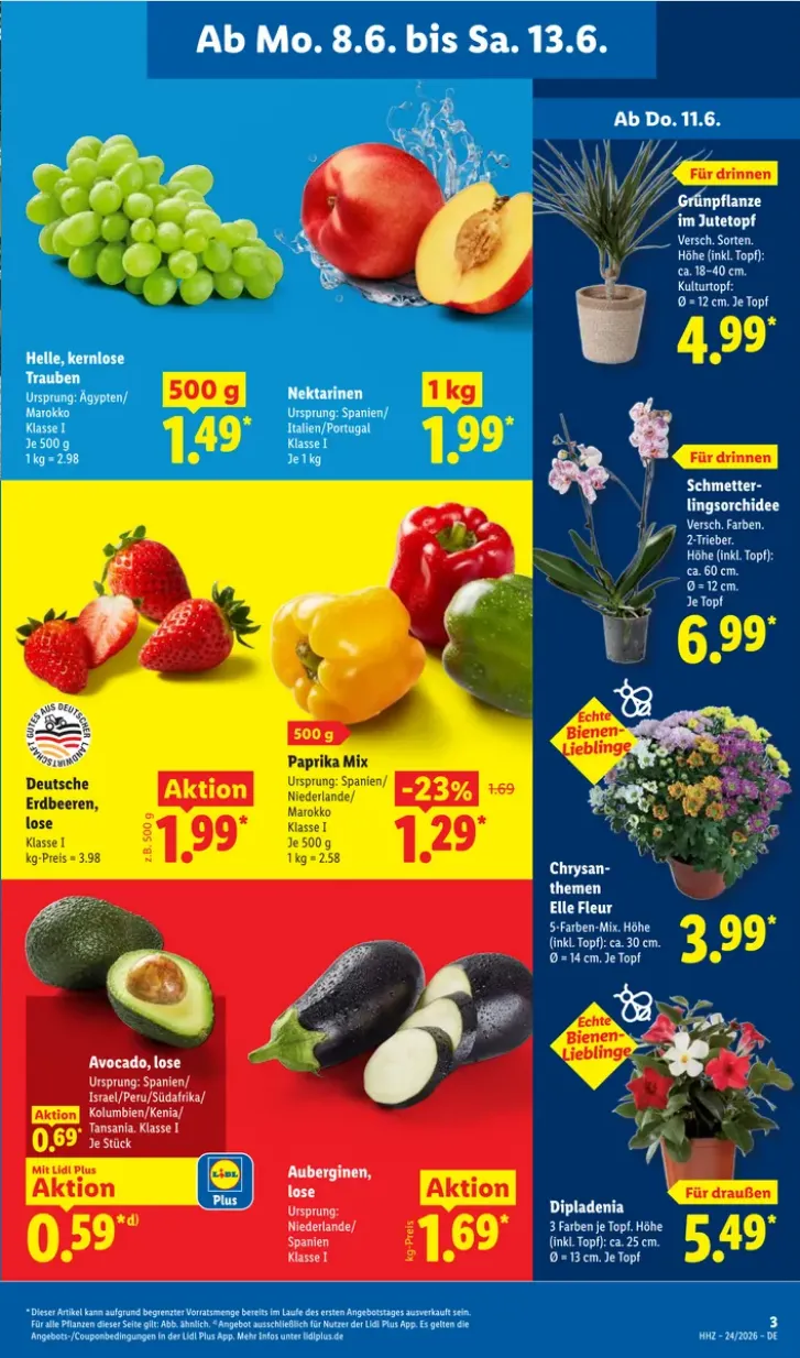 Lidl Prospekte von 8. Juni bis 13. Juni 2026 - Prospekt seite 3