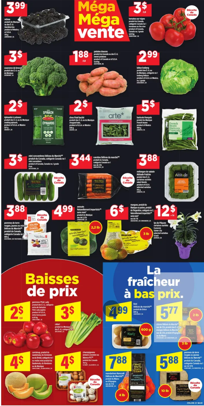  Maxi Sales from April 2 to April 8 2026 - flyer page 3