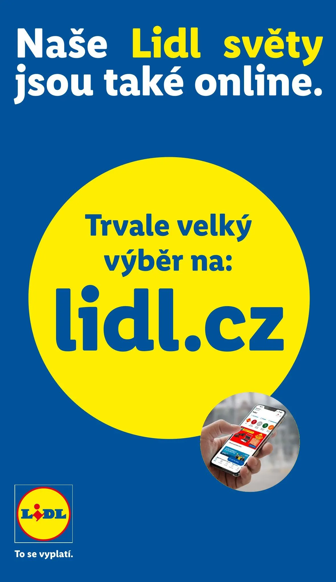 Získejte nejnovější nabídky od Lidl - 4. června 7. června 2026 - Page 31