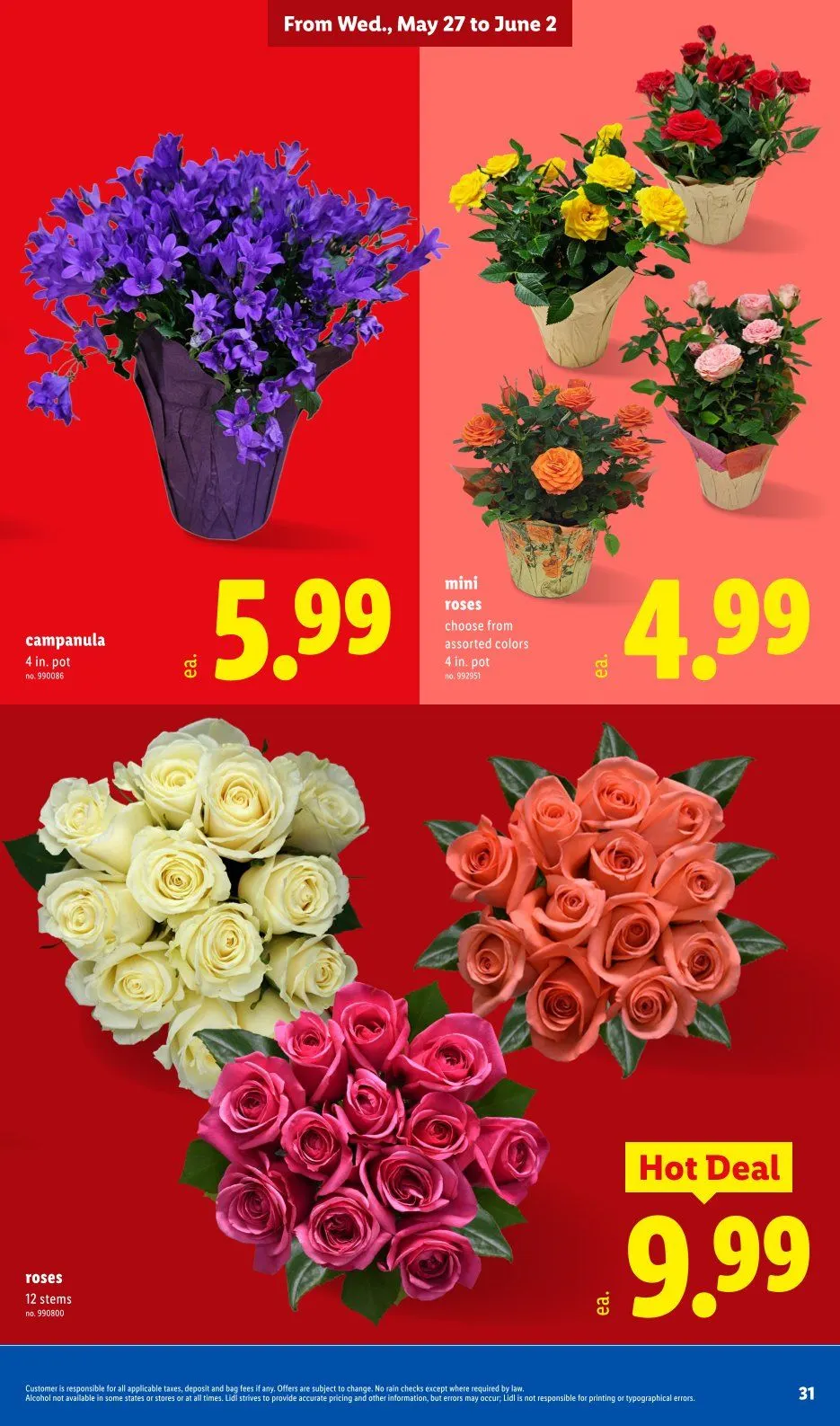 Weekly ad Lidl Sales from May 27 to June 2 2026 - Page 31