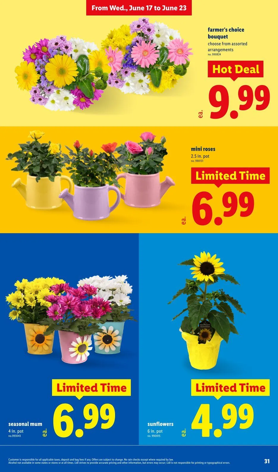 Weekly ad Lidl Sales from June 17 to June 23 2026 - Page 31