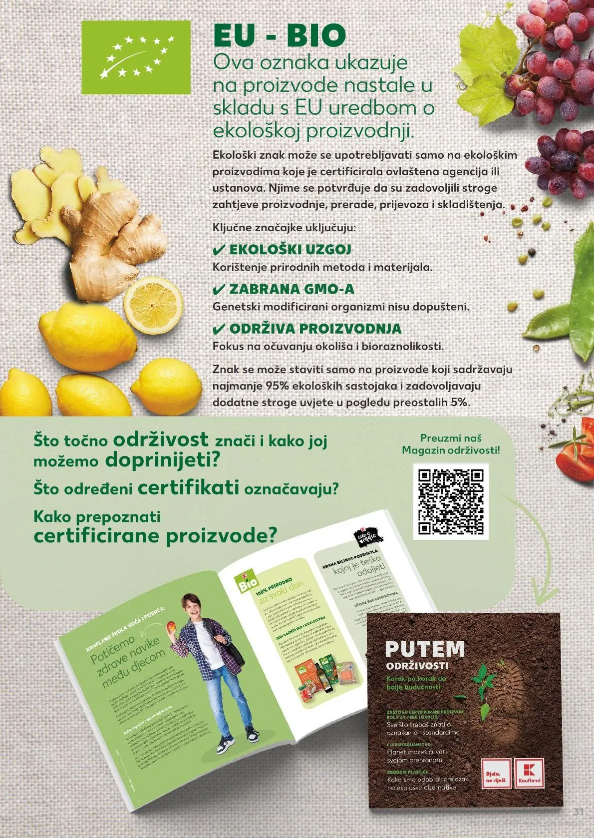 Katalog Kaufland od 10. lipnja do 16. lipnja 2026. - Pregled Stranica 31