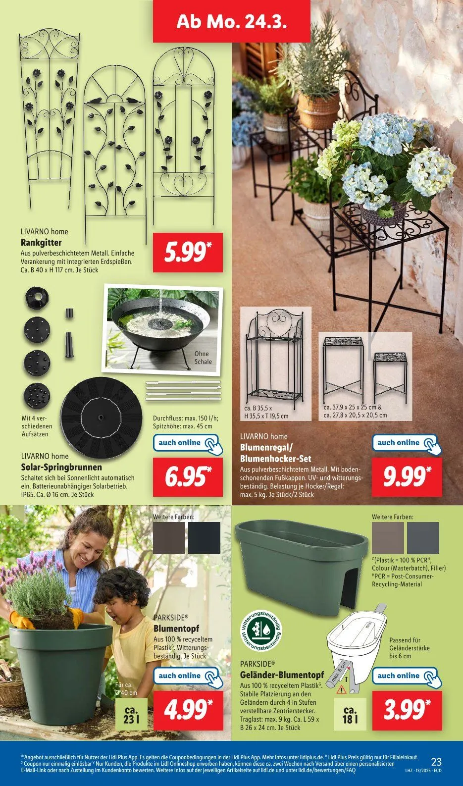 Lidl Prospekt von 24. März bis 29. März 2025 - Prospekt seite 31