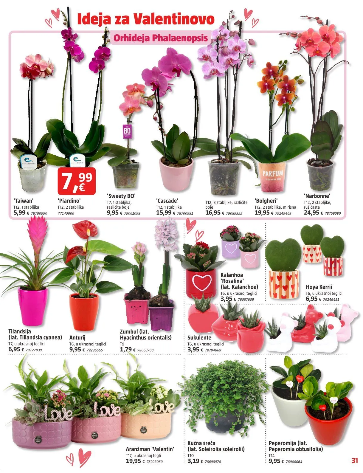 Katalog Najnovije ponude trgovine Bauhaus od 1. veljače do 28. veljače 2026. - Pregled Stranica 31