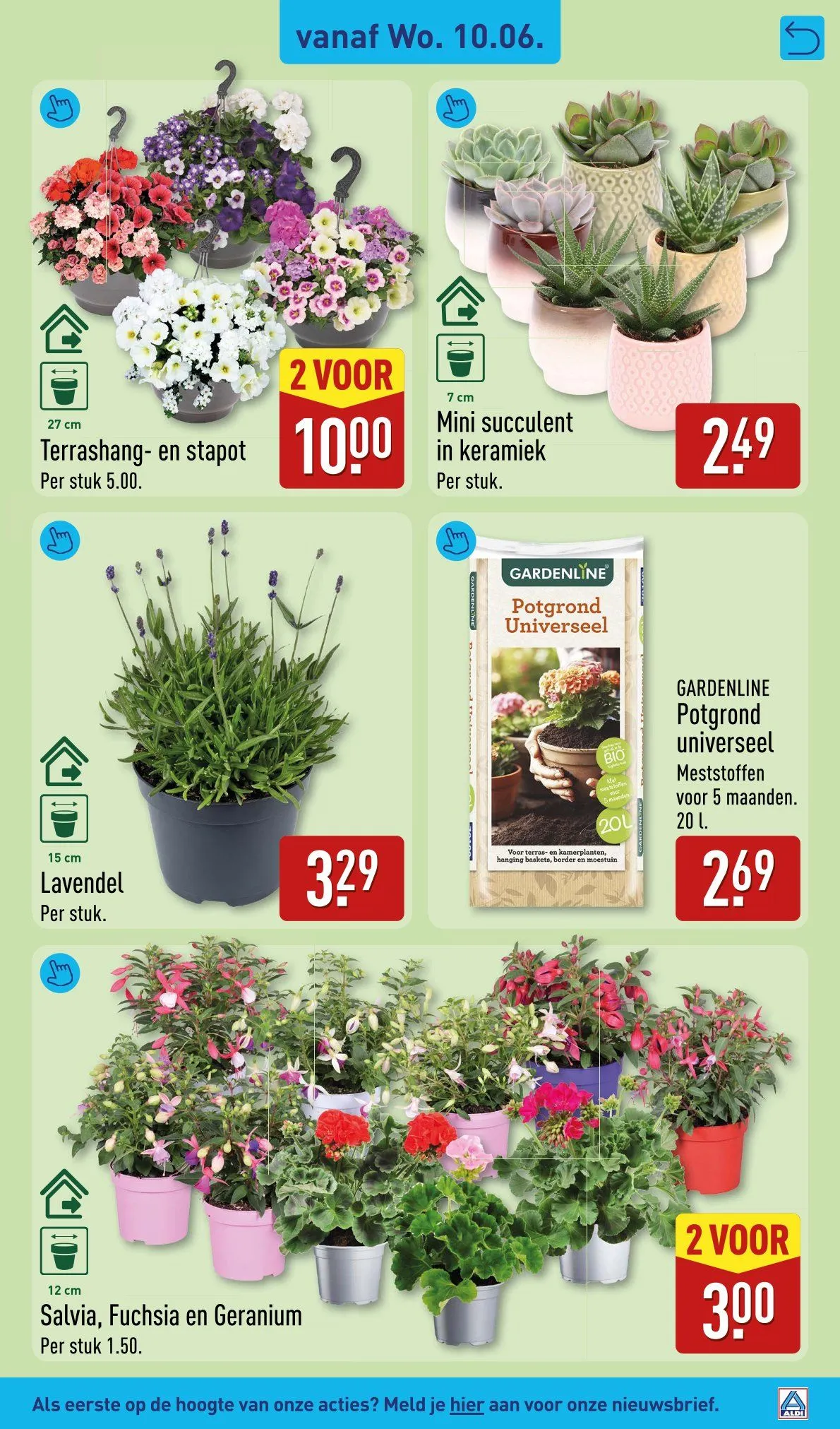 Aldi Folder van 8 juni tot 14 juni 2026 - Folder pagina 31