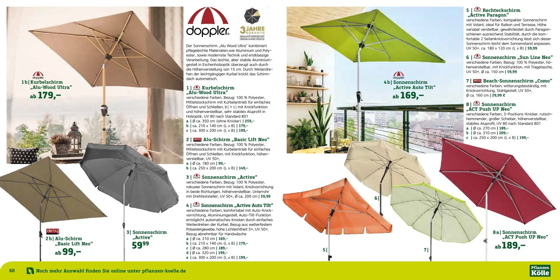 Prospekt Pflanzen-Kölle von 12. August bis 7. September 2025 - Prospekt seite 31