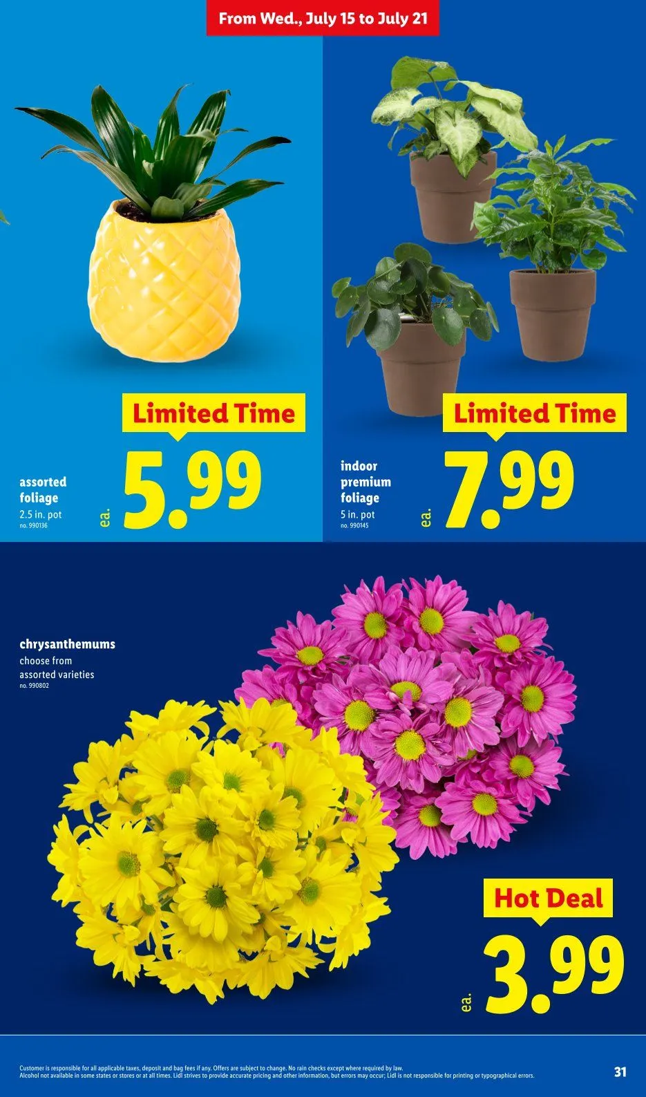 Weekly ad Lidl Sales from July 15 to July 21 2026 - Page 31