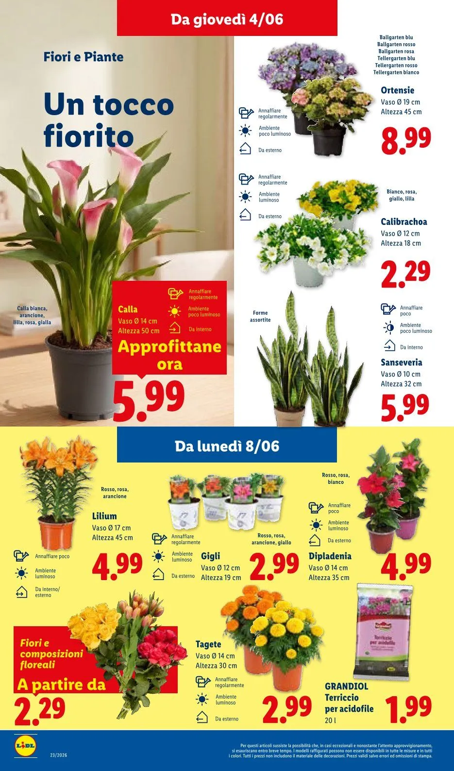Volantini Lidl da 4 giugno a 10 giugno di 2026 - Pagina del volantino 32