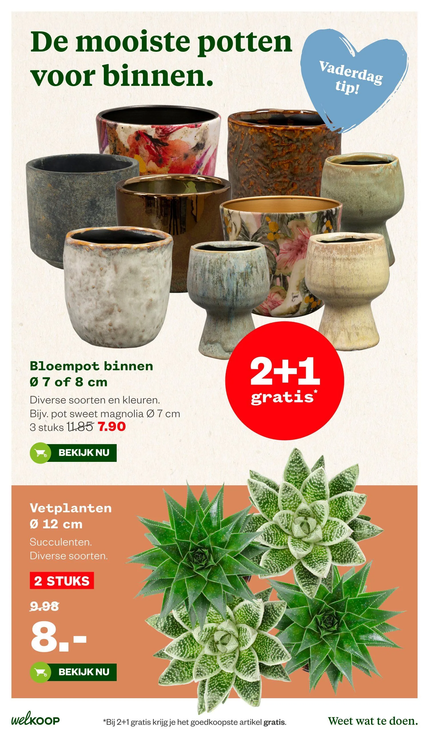 Welkoop folders van 8 juni tot 21 juni 2026 - Folder pagina 32