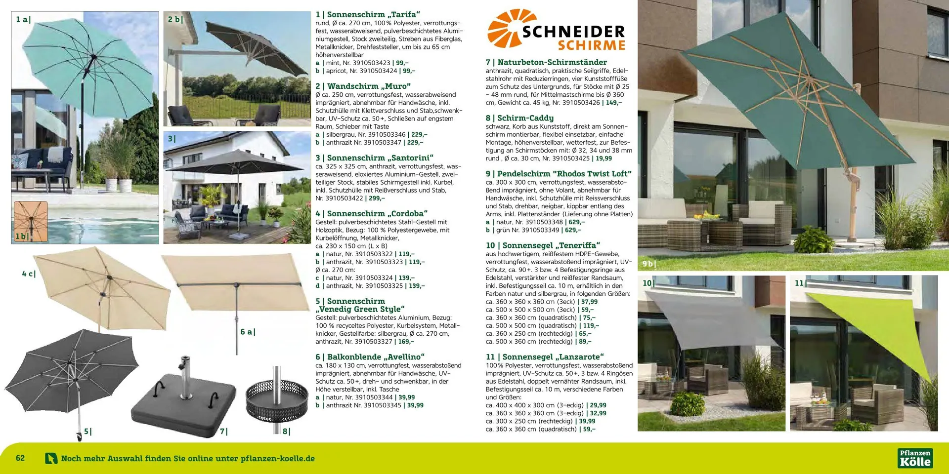 Prospekt Pflanzen-Kölle von 12. August bis 7. September 2025 - Prospekt seite 36