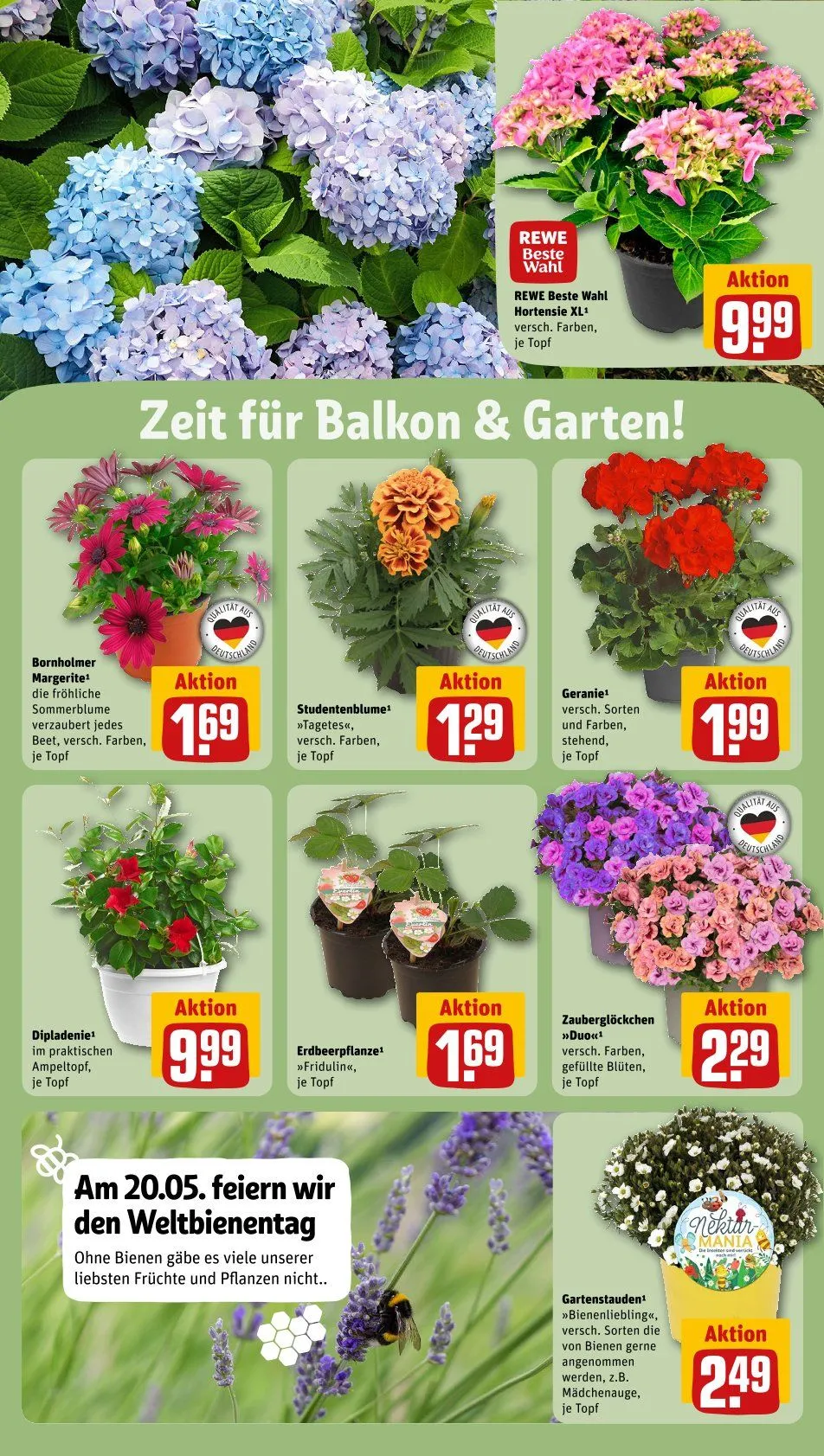 REWE Prospekt von 19. Mai bis 26. Mai 2025 - Prospekt seite 32