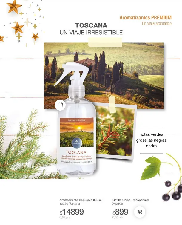 Ofertas de  Biogreen Ofertas 23 de diciembre al 31 de diciembre 2025 - Página 33 del catálogo