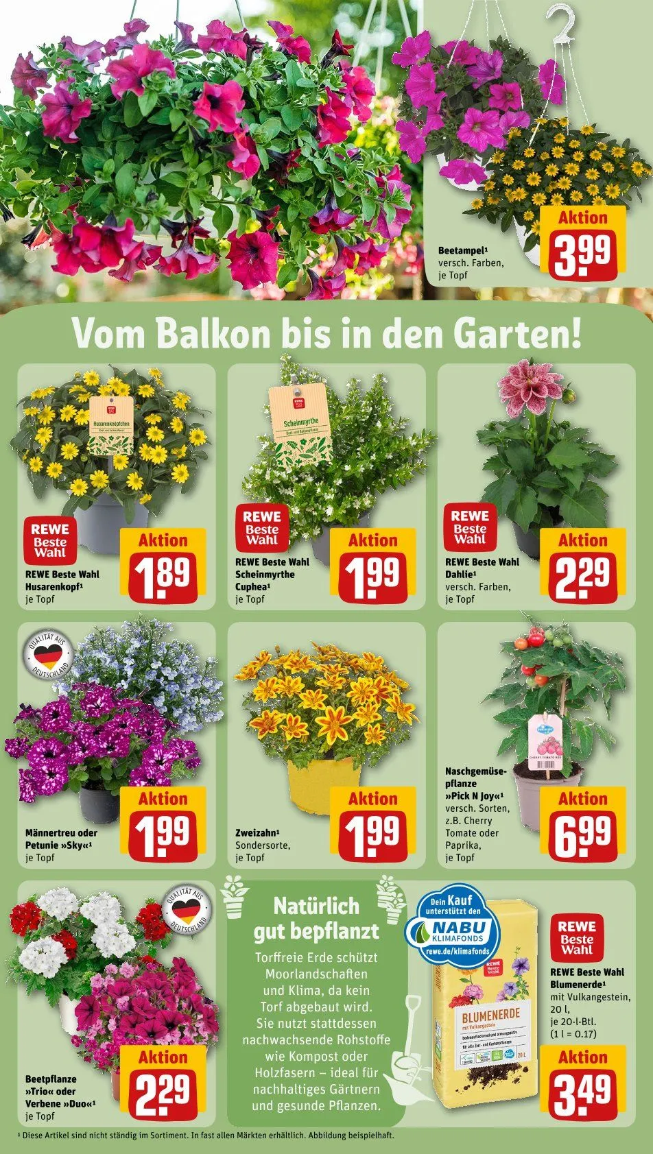 REWE Prospekt von 19. Mai bis 26. Mai 2025 - Prospekt seite 33