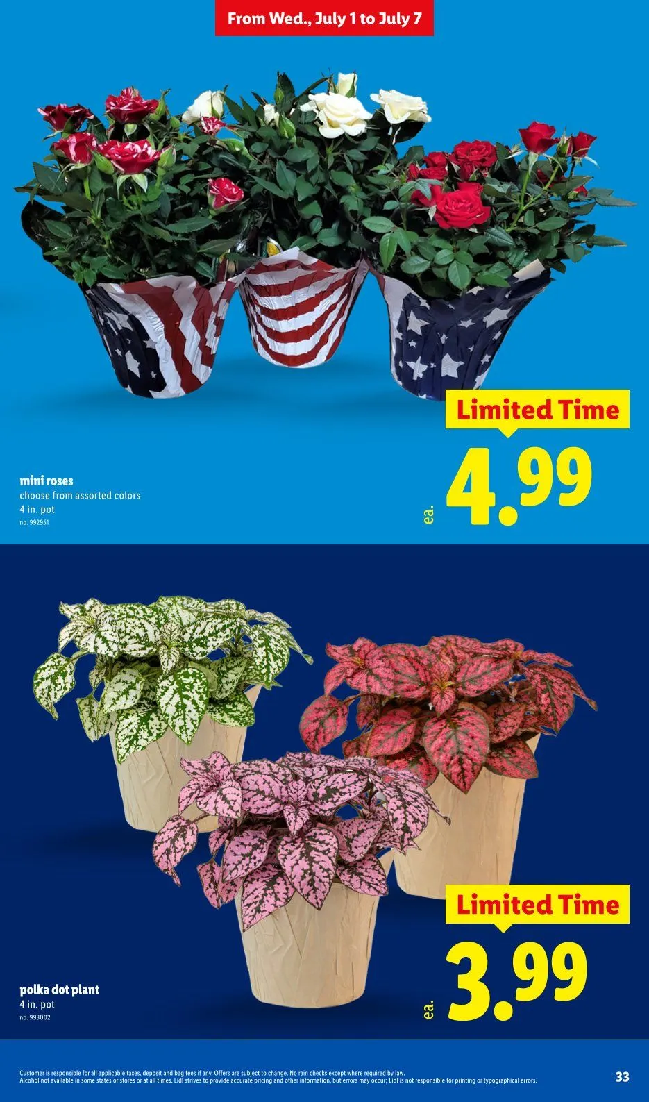 Weekly ad Lidl Sales from July 1 to July 7 2026 - Page 33