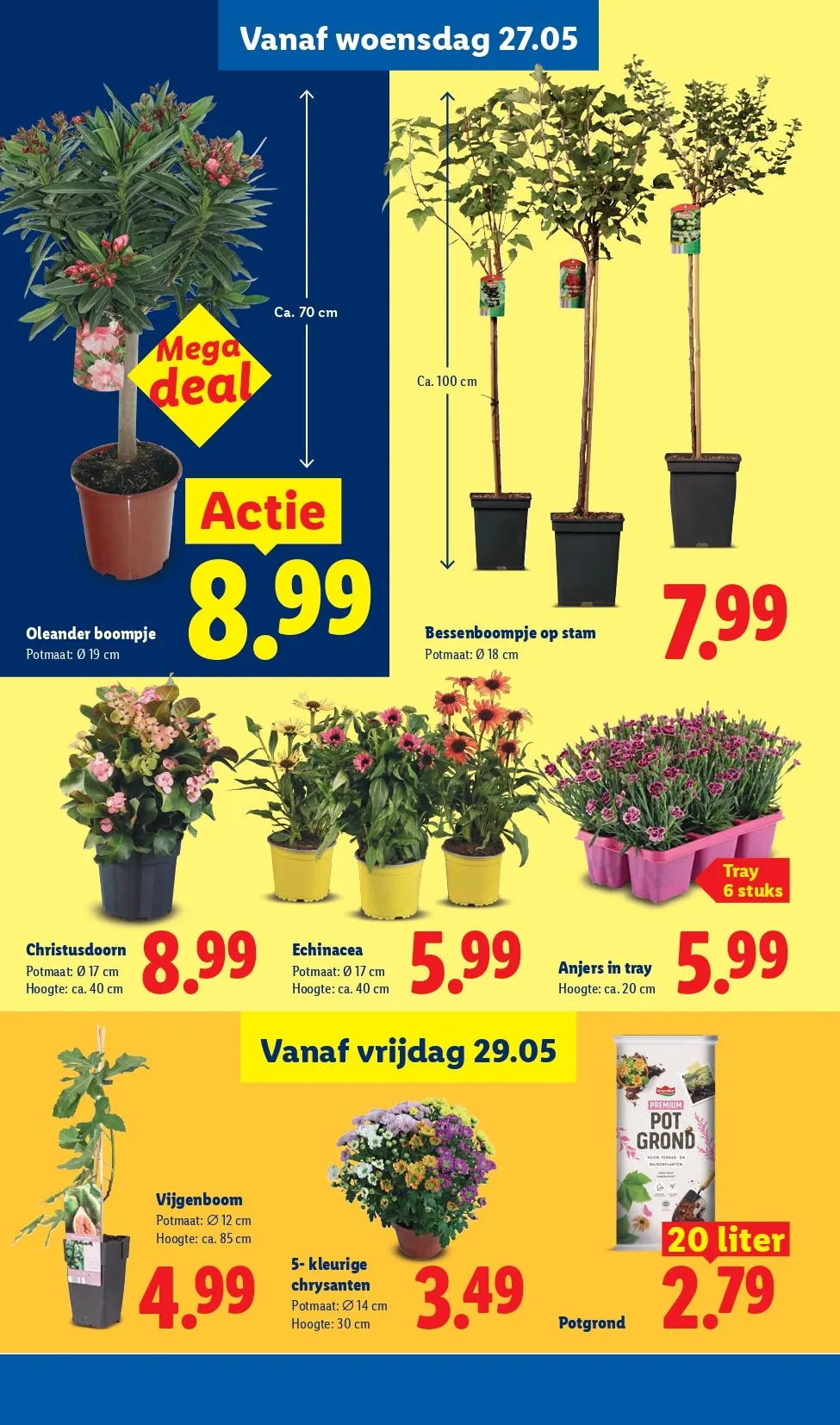 Lidl Folder van 25 mei tot 30 mei 2026 - Folder pagina 33