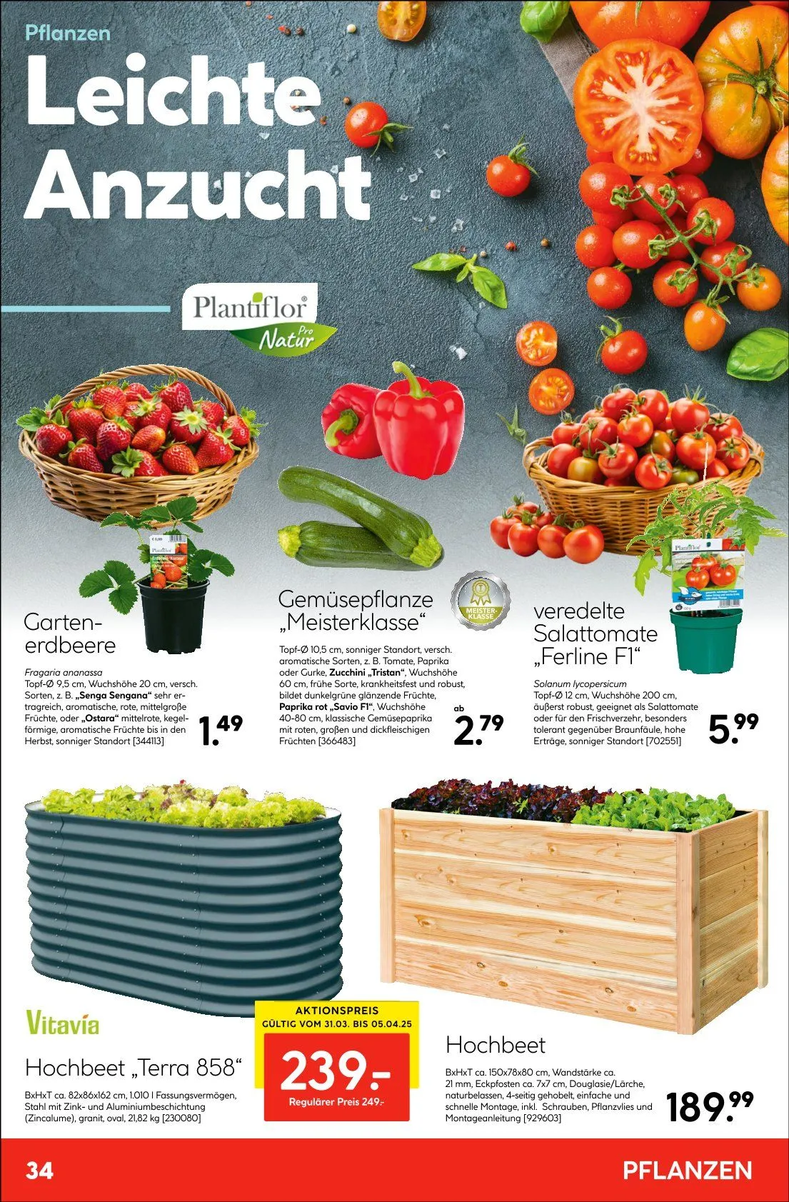 Hellweg Prospekt von 31. März bis 10. April 2025 - Prospekt seite 34