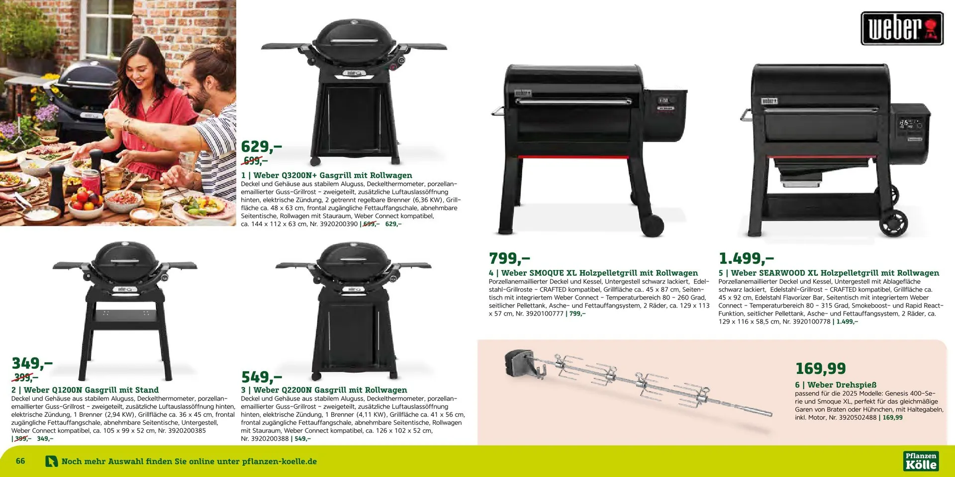 Prospekt Pflanzen-Kölle von 12. August bis 7. September 2025 - Prospekt seite 34