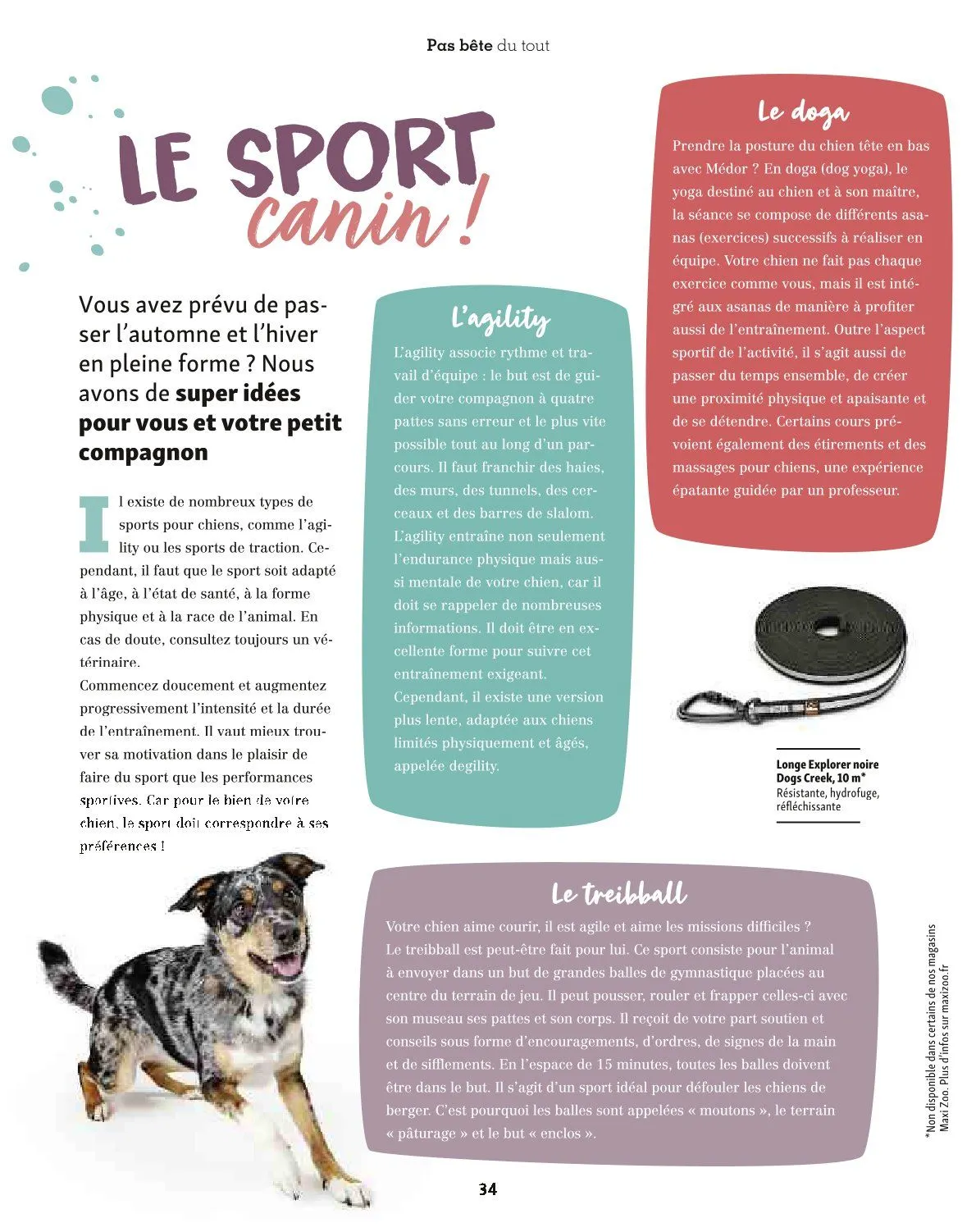 Maxi ZOO Catalogue du 23 décembre au 31 décembre 2025 - Catalogue page 34