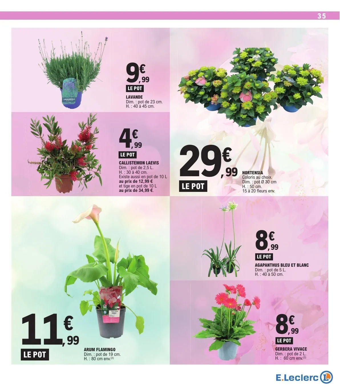 Catalogues E.Leclerc du 5 mai au 16 mai 2026 - Catalogue page 35