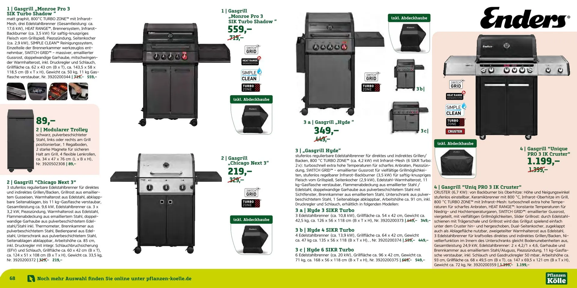 Prospekt Pflanzen-Kölle von 12. August bis 7. September 2025 - Prospekt seite 35