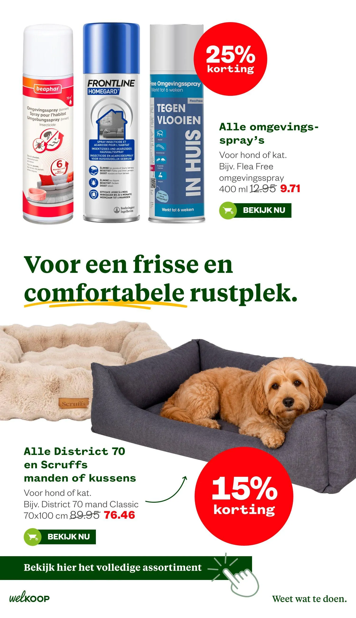 Welkoop foldersfolders van 6 juli tot 19 juli 2026 - Folder pagina 35