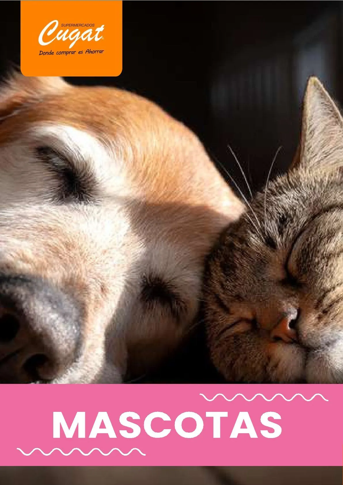 Catálogo de Cugat Ofertas 1 de enero al 29 de enero 2026 - Página 36