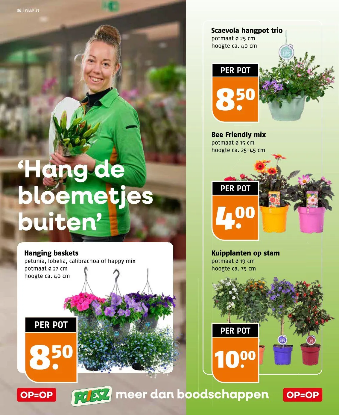 Poiesz folders van 31 mei tot 6 juni 2026 - Folder pagina 36