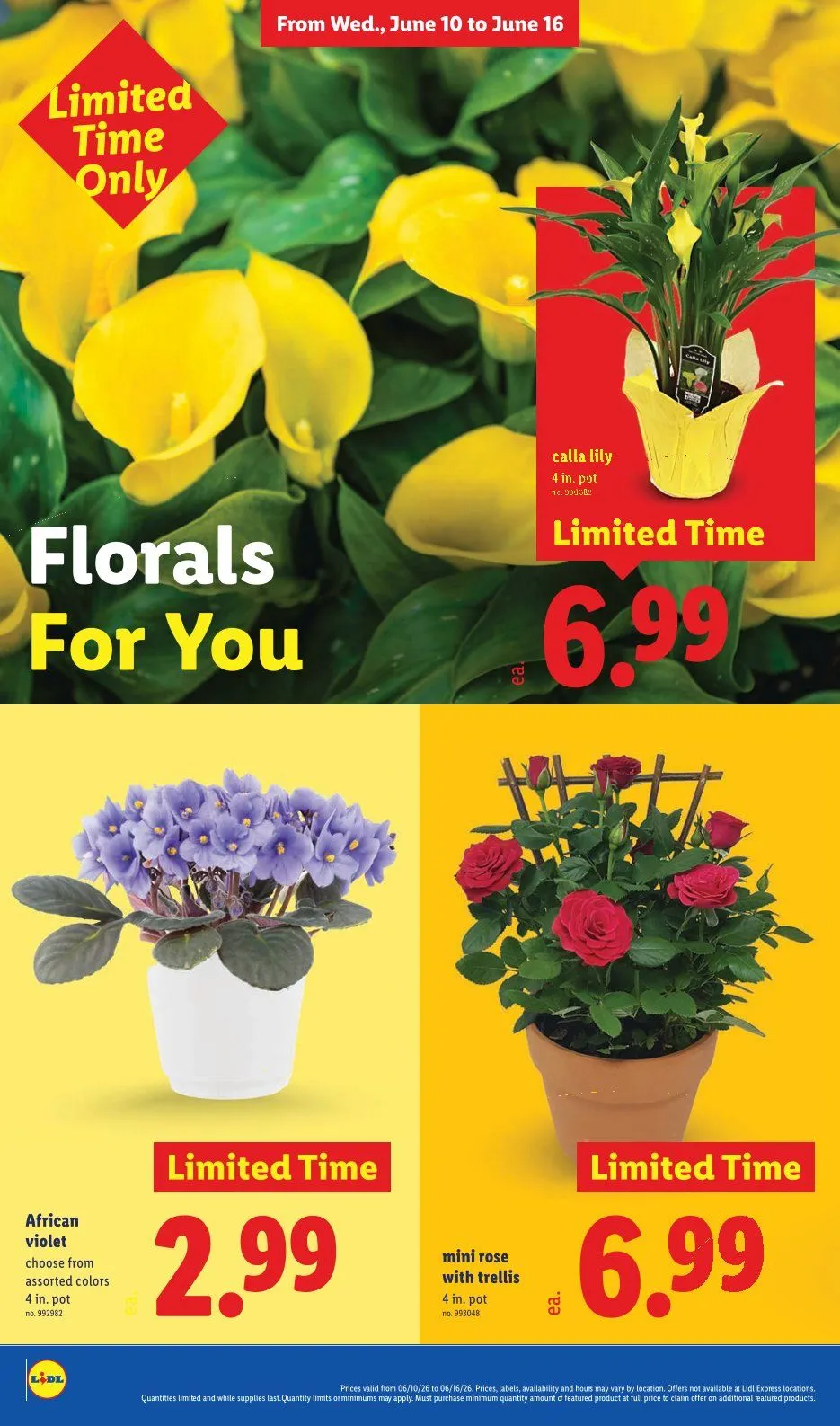 Weekly ad Lidl Sales from June 10 to June 16 2026 - Page 36