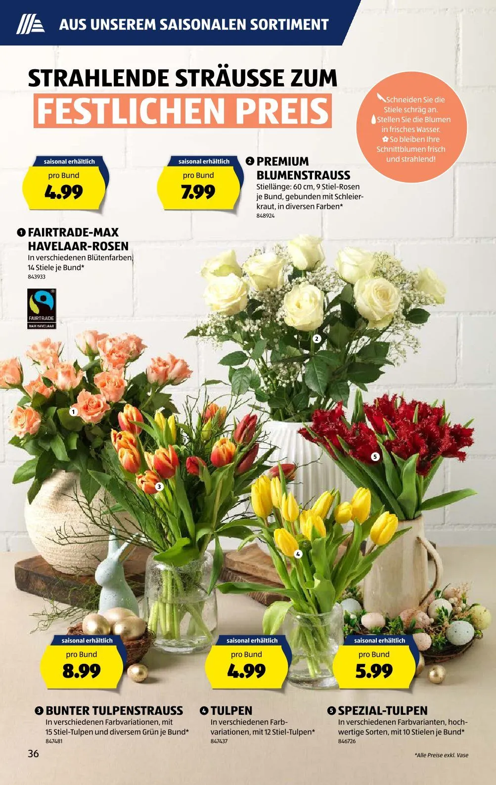 Aldi Prospekt von 6. März bis 12. März 2025 - Prospekt seite  36